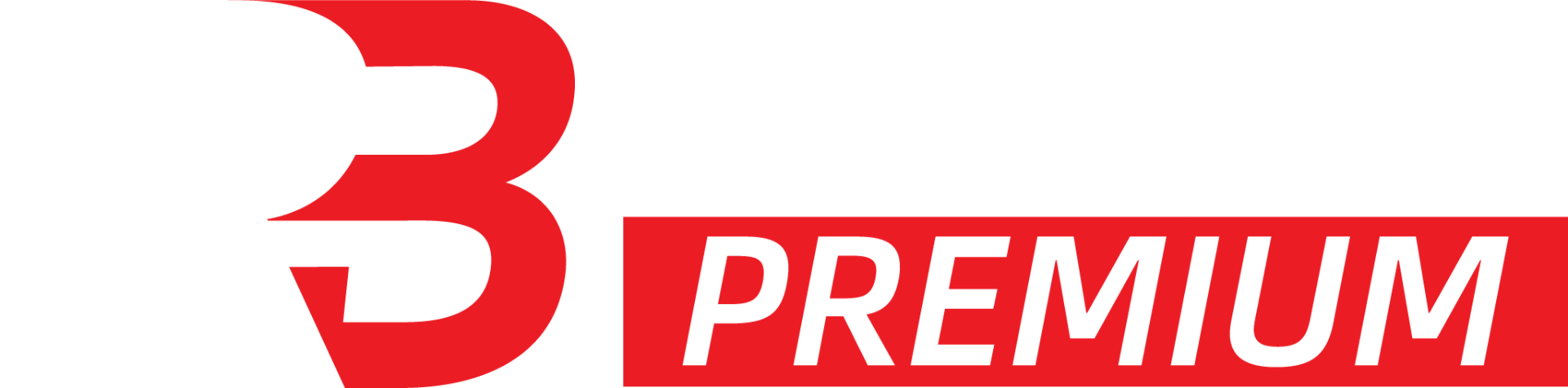 RB Motors Premium - Professional Auto Workshop & Car Dealership Gold Coast
